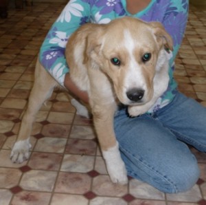 marley