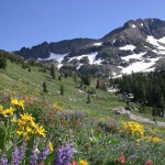 Angel Fire