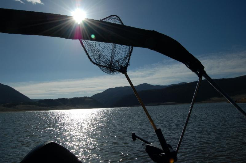 Turquoise Trout Says “I Know Jo, Do You?” Angel Fire, New Mexico