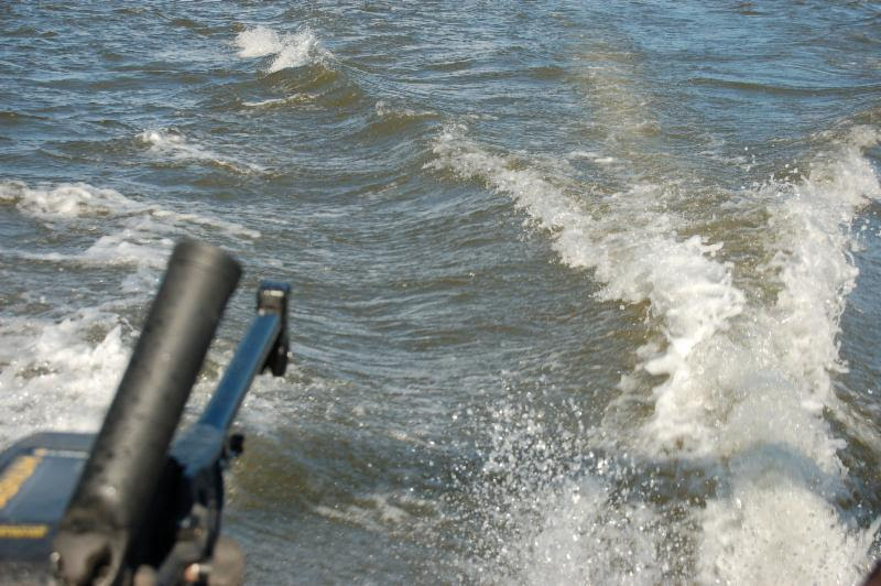 Turquoise Trout Angel Fire, New Mexico