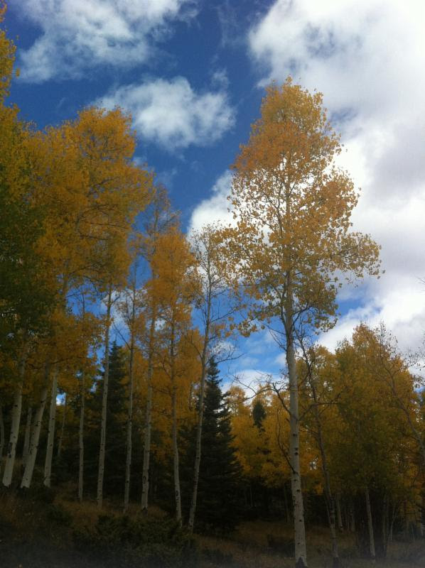 af01 Angel Fire, New Mexico